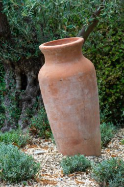 Dekoratif antika amfora bahçede