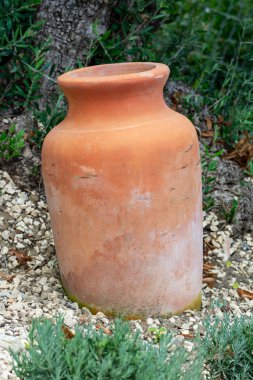 Dekoratif antika amfora bahçede