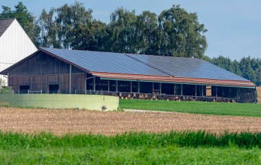 Fotovoltaik yüklemesiyle çatıda modern cowshed.