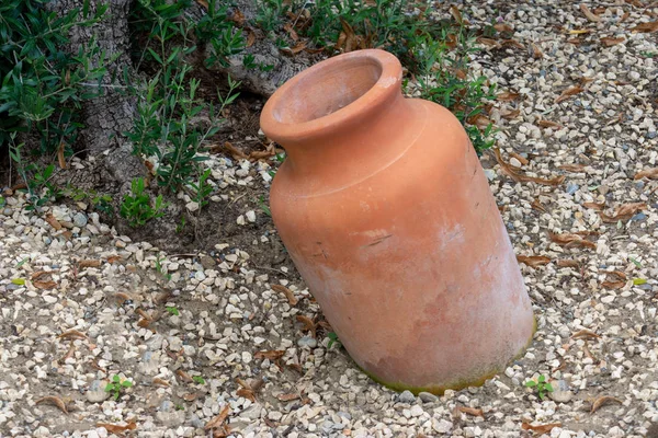 Decoratieve Antiek Amphora Tuin — Stockfoto