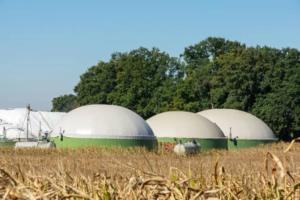 Fazilität Zur Produktion Von Bioenergie — Stockfoto