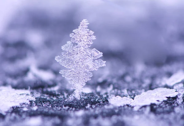 Macro Abstraite Cristal Glace — Photo