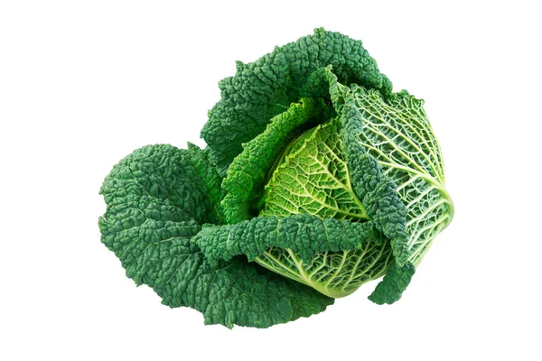 Closeup Isolated Fresh Savoy Cabbage Head — Stock Photo, Image