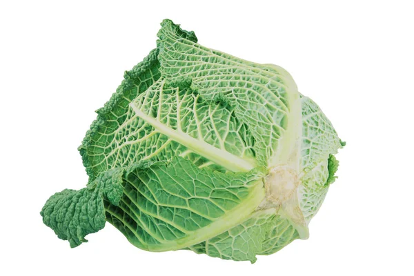 Isolated fresh savoy cabbage head — Stock Photo, Image