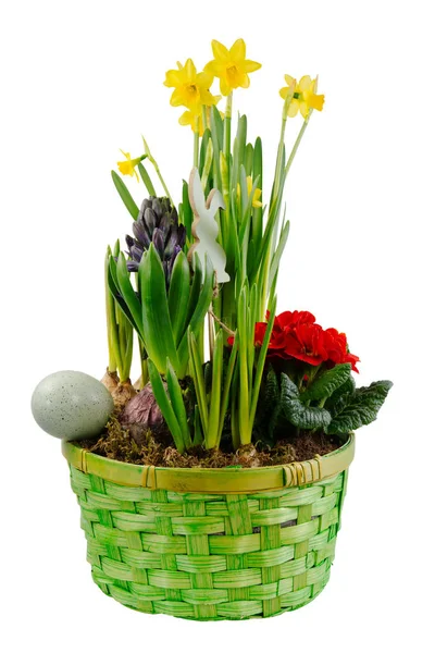孤立的复活节装饰与春天的花 — 图库照片