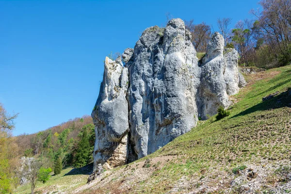 Bizarre rotsen in Dollnstein in het Altmuehltal — Stockfoto