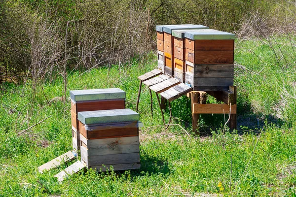 Apiculture avec des ruchers en bois — Photo