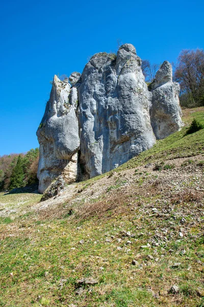 Bizarre rotsen in Dollnstein in het Altmuehltal — Stockfoto