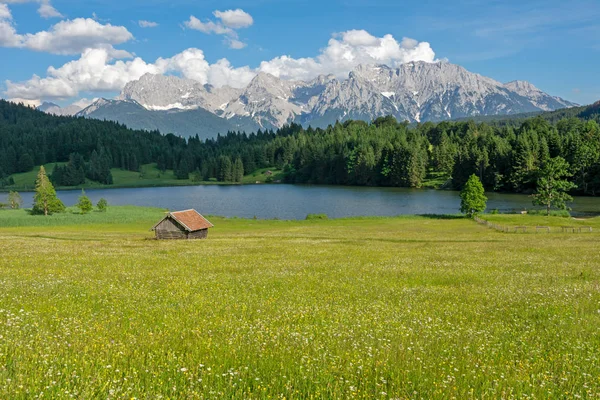 Lago Alpino y prado floreciente en Baviera — Foto de Stock