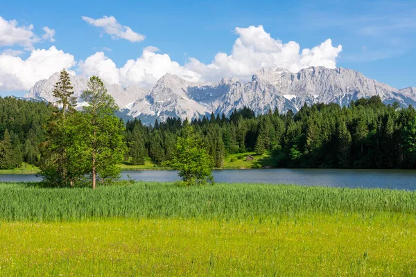 Jezioro alpejskie i kwitnąca łąka w Bawarii — Zdjęcie stockowe