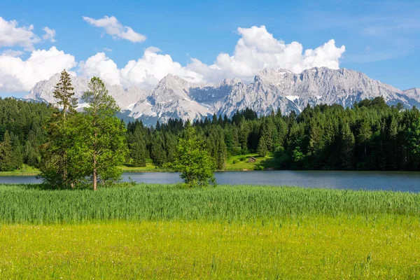 Alpin sjö och blommande äng i Bayern — Stockfoto