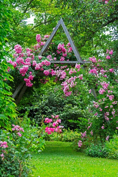 Idyllic rose garden — Stock Photo, Image