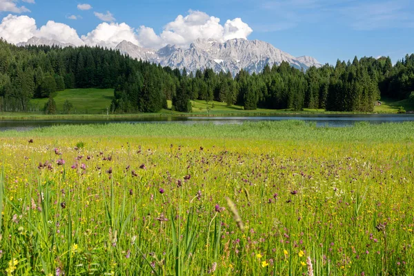 Lac alpin et prairie à fleurs en Bavière — Photo