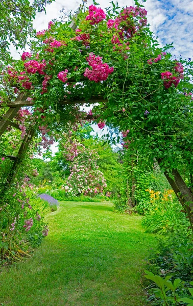 Idyllischer Rosengarten lizenzfreie Stockfotos