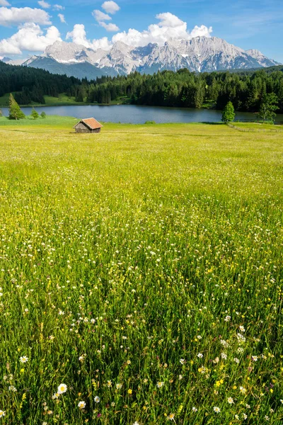 Jezioro alpejskie i kwitnąca łąka w Bawarii — Zdjęcie stockowe