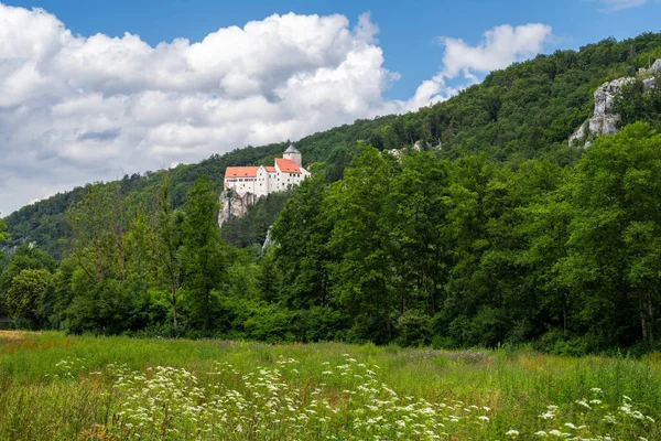Riedenburg Juli Burg Prunn Altmühltal Bei Riedenburg Juli 2020 — Stockfoto