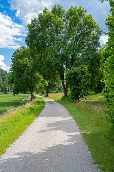 アルトミューエルタル渓谷の牧歌的な道 バイエルン州 ドイツ — ストック写真