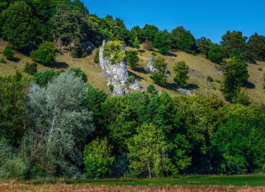 Solnhofen (Bavyera, Almanya) yakınlarındaki Altmuehltal vadisinde kayalar)