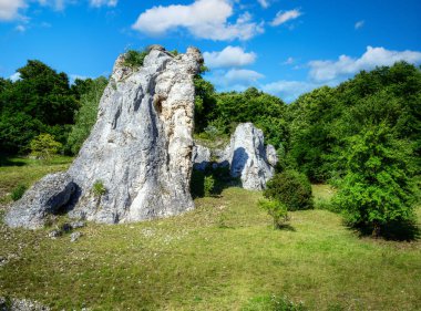 Dollnstein (Bavyera, Almanya) yakınlarındaki Altmuehltal vadisinde kaya oluşumu)