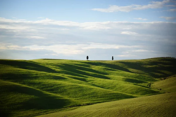 Rolling Hills Evening Sun Tuscany Ліцензійні Стокові Фото