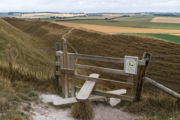 Typical english country stile with dog gate leading to meadow Maiden Castle Dorset Dorchester United Kingdom