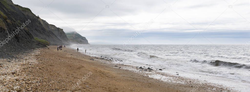 Charmouth, Dorset, England, UK. June 24 2017. Unrecognisable people looking for fossils on the Jurassic Coast beach.