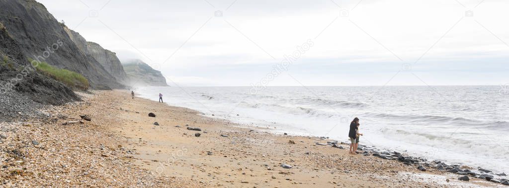 Charmouth, Dorset, England, UK. June 24 2017. Unrecognisable people looking for fossils on the Jurassic Coast beach.