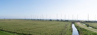 Hollanda 'da IJsselmeer yakınlarında tekneli bir tarım çayırı manzarası.