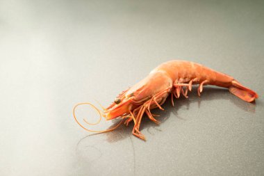 Mutfak masasında pişmiş kırmızı bir karides.