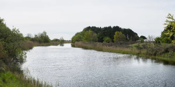 Paisaje Dunas Vías Navegables Amsterdamse Waterleidingduinen Países Bajos — Foto de Stock