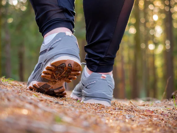 Walking through the forest