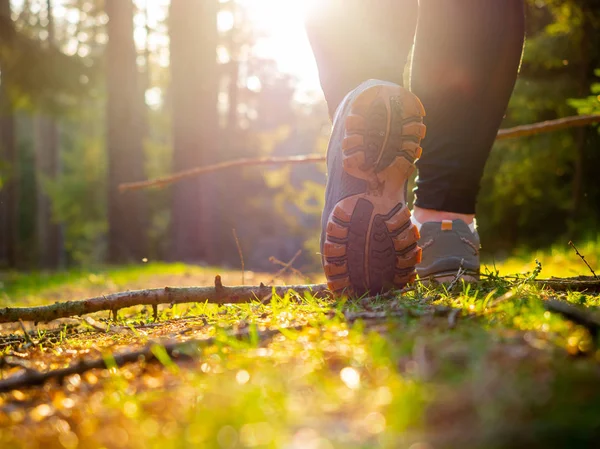 Walking through the forest