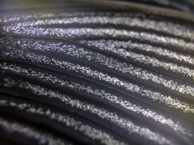 Mikroskop altında kelebek kanatları