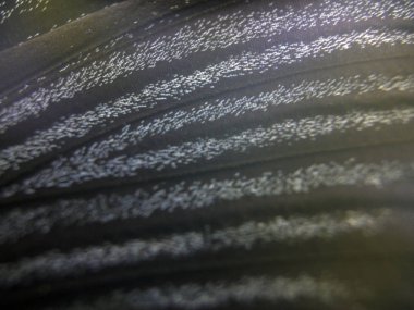 Mikroskop altında kelebek kanatları