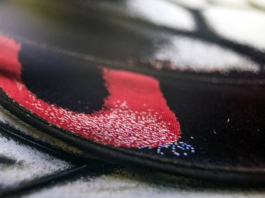 Mikroskop altında kelebek kanatları