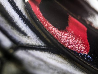 Mikroskop altında kelebek kanatları