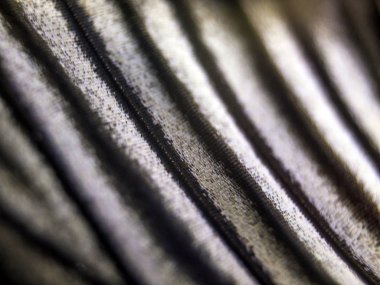 Mikroskop altında kelebek kanatları