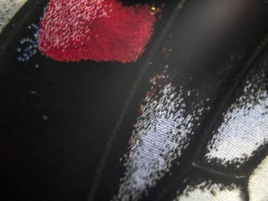 Mikroskop altında kelebek kanatları