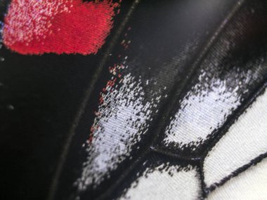 Mikroskop altında kelebek kanatları