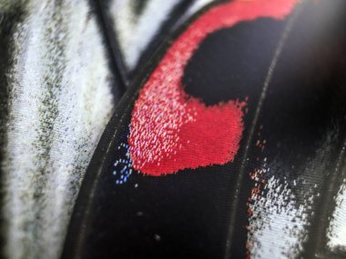 Mikroskop altında kelebek kanatları