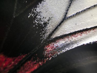 Mikroskop altında kelebek kanatları