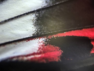 Mikroskop altında kelebek kanatları