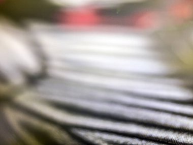 Mikroskop altında kelebek kanatları