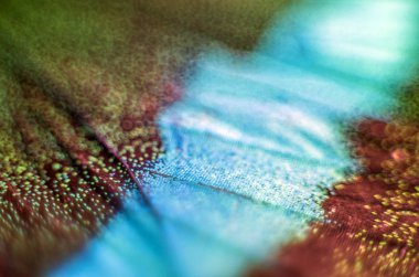 Mikroskop altında kelebek kanatları