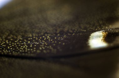 Mikroskop altında kelebek kanatları