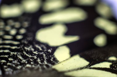 Mikroskop altında kelebek kanatları