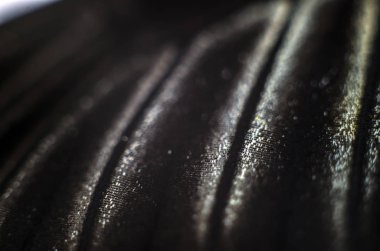 Mikroskop altında kelebek kanatları