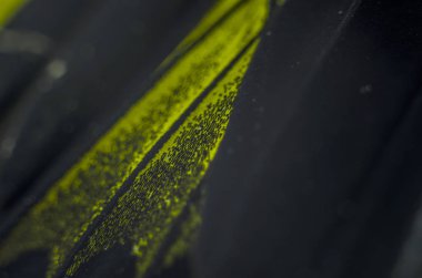 Mikroskop altında kelebek kanatları