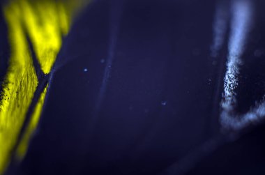 Mikroskop altında kelebek kanatları