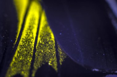 Mikroskop altında kelebek kanatları